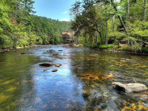 Media Image 2
