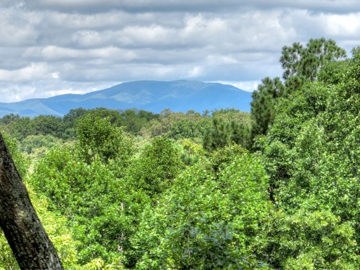 Media Image 2