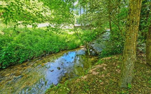 Media Image 3