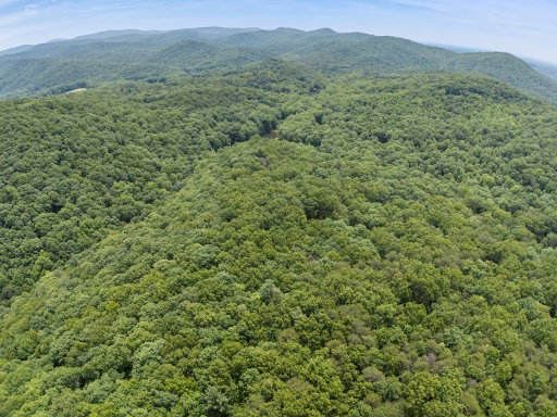 Media Image 3