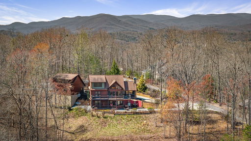 Media Image 3