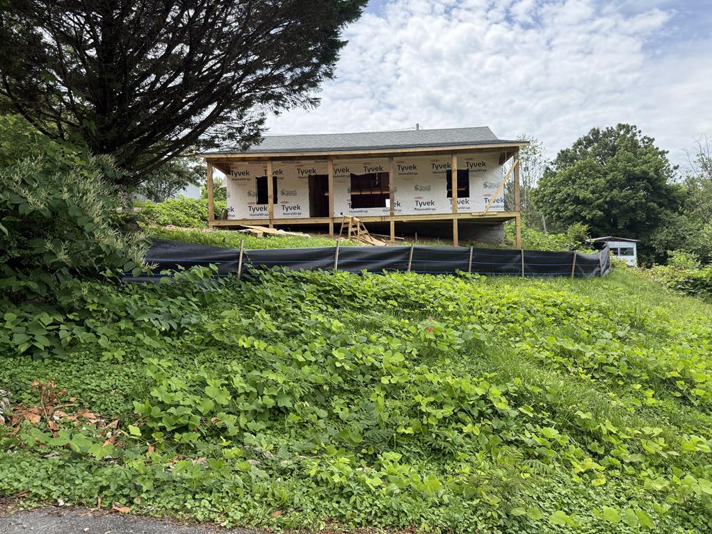 Media Image 1