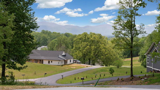 Media Image 3