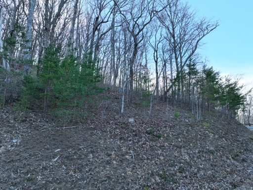 Media Image 2