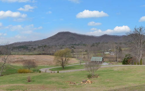 Media Image 3