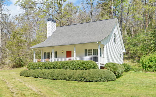Media Image 2