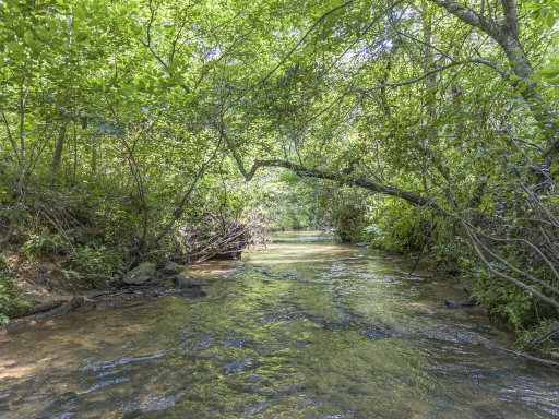 Media Image 3