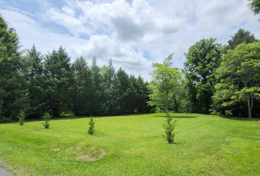 Media Image 2