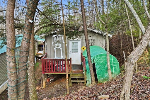 Media Image 3