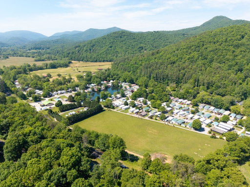 Media Image 3