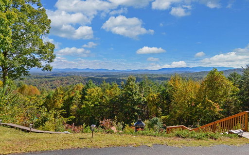 Media Image 2