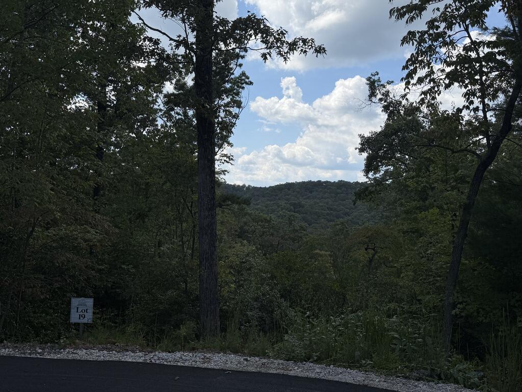 Image Unavailable