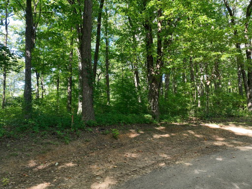 Media Image 2