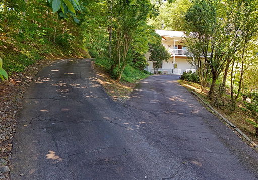 Media Image 2