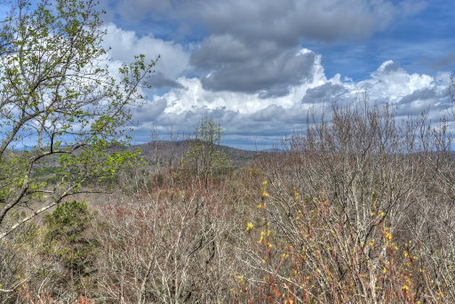 Media Image 2
