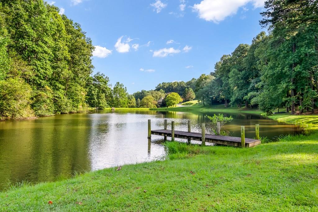 Image Unavailable