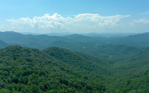 Media Image 2