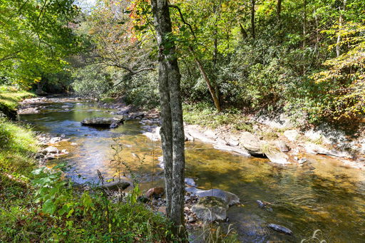 Media Image 3