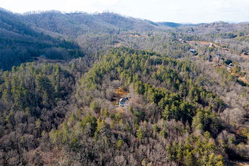 Media Image 2