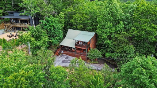 Media Image 2