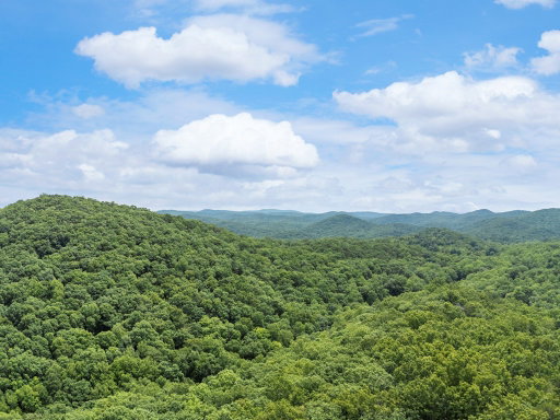Media Image 2