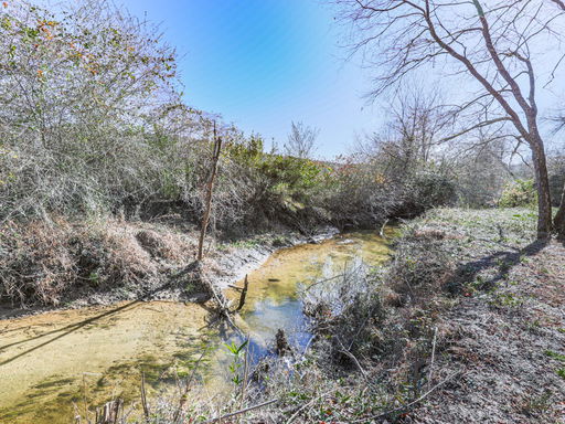 Media Image 3