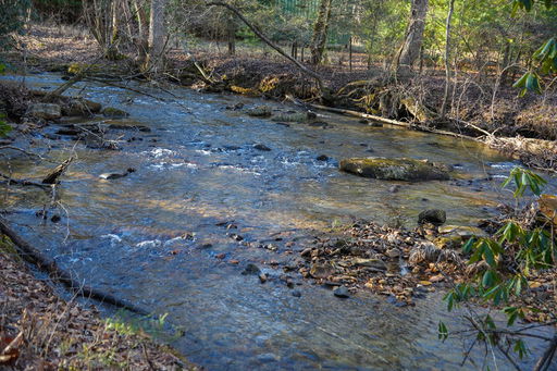 Media Image 3