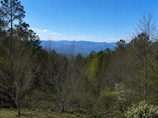 Media Image 3