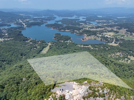 Media Image 2