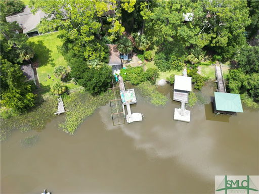 Media Image 2