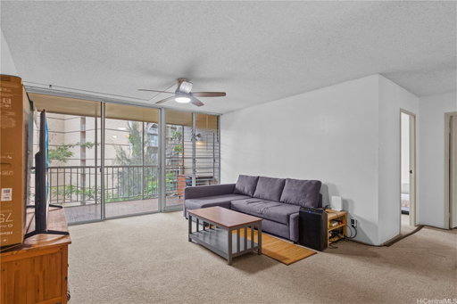 Media Image 3