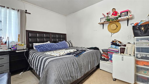 Media Image 3