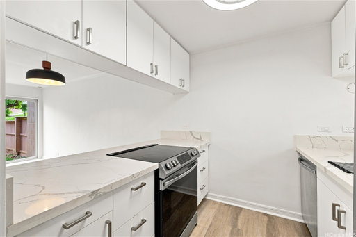 Media Image 3