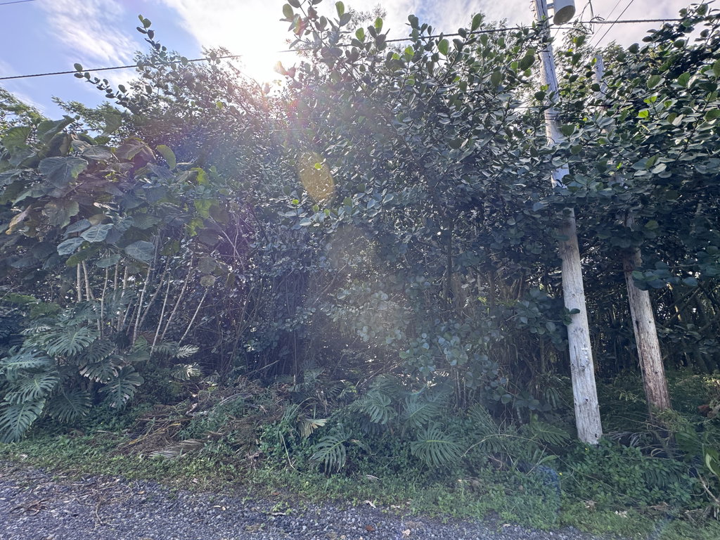 Image Unavailable