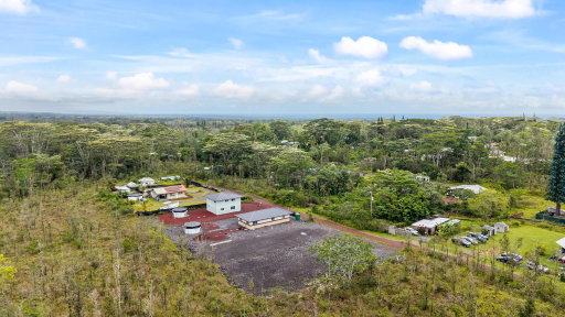 Media Image 2