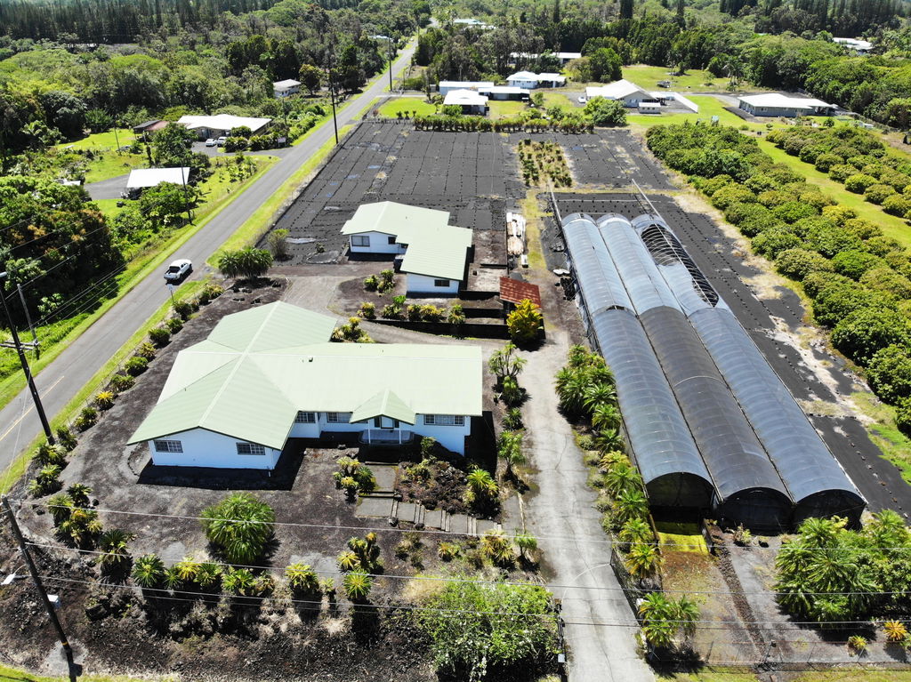 Media Image 1