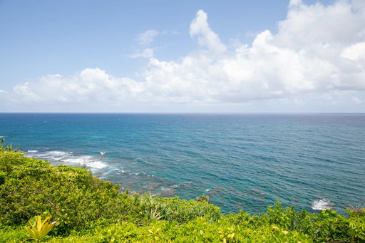 Media Image 2