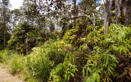 Media Image 2