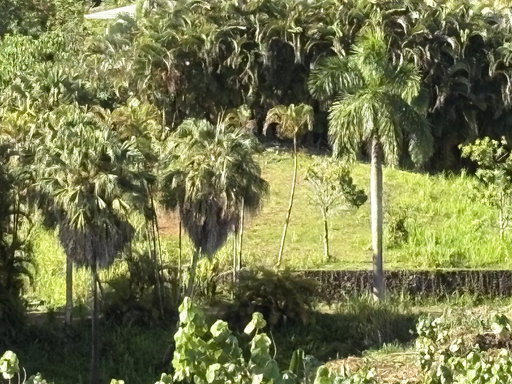 Media Image 2