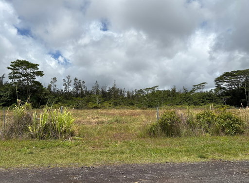 Media Image 2