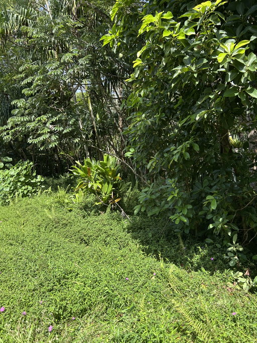 Media Image 2