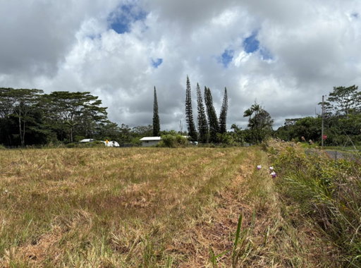 Media Image 3