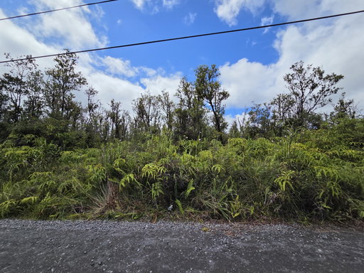 Media Image 3