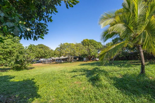 Media Image 2