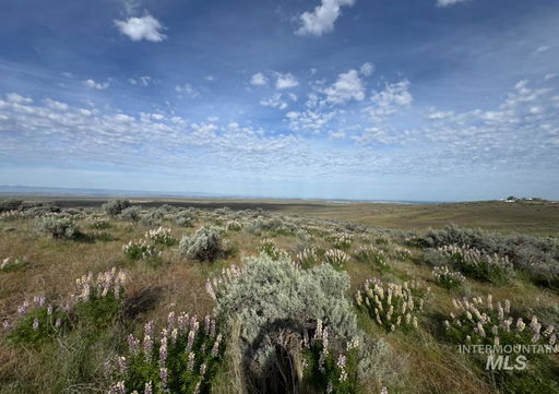 Media Image 3