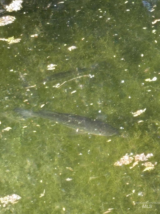 Media Image 3
