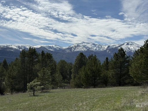 Media Image 2