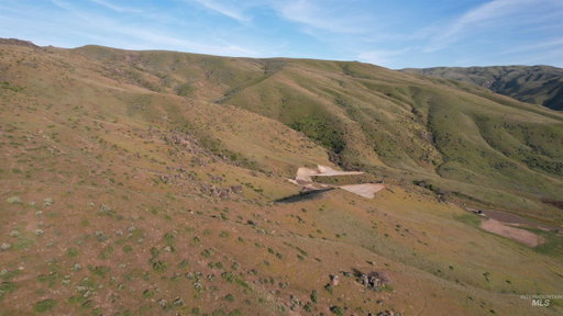 Media Image 3