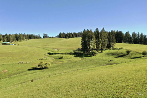 Media Image 2