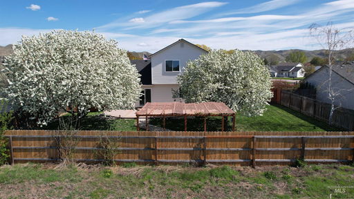 Media Image 3